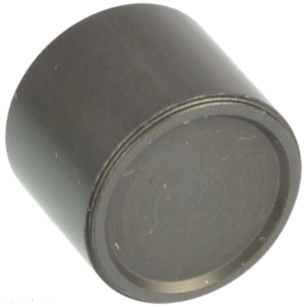 PŁYTA SEPARACYJNA TŁOCZKI skrzynia 6HP19 6HP21 6HP26 6HP28 6HP32 6HP34 A053 - 7