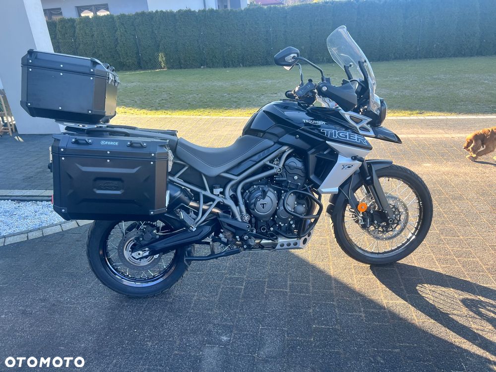 Triumph Tiger - 14