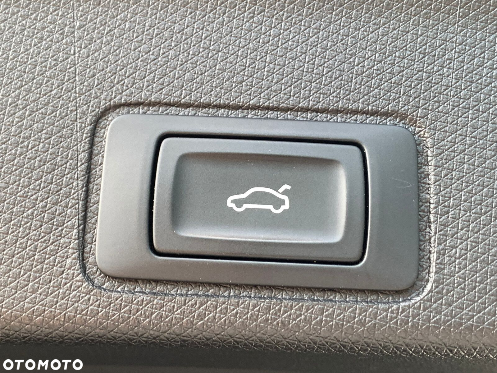Cupra Terramar - 37