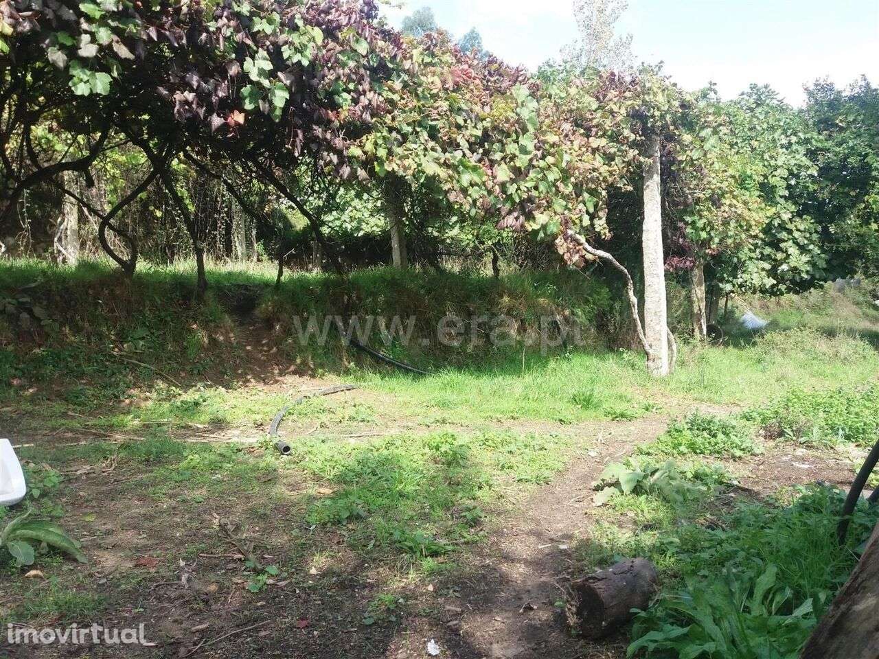 Moradia T1 / Marco de Canaveses, Sande e São Lourenço - Grande imagem: 2/17