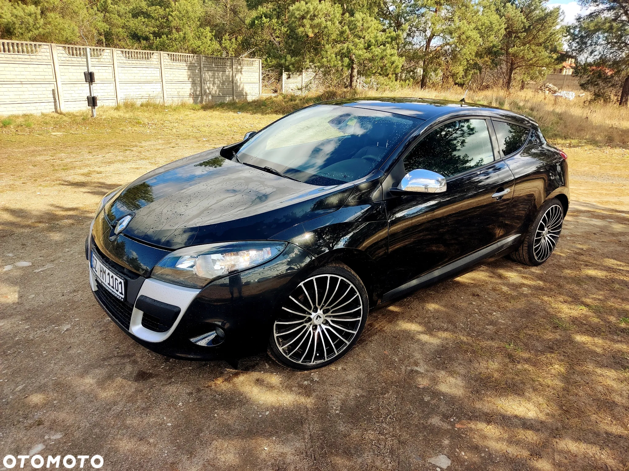 Renault Megane - 7