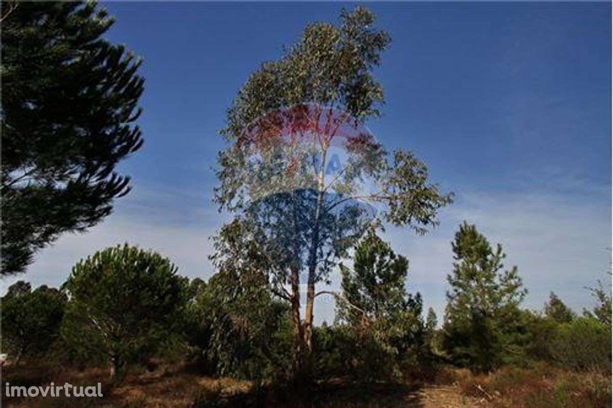 Terreno  para venda - Grande imagem: 4/5