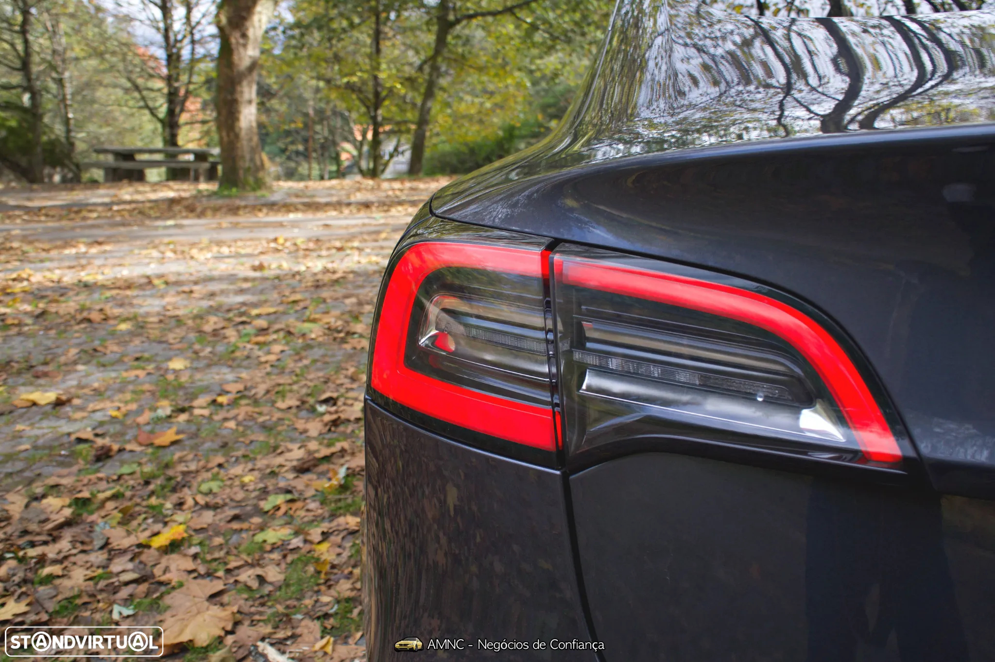 Tesla Model 3 Performance Dual Motor AWD - 16