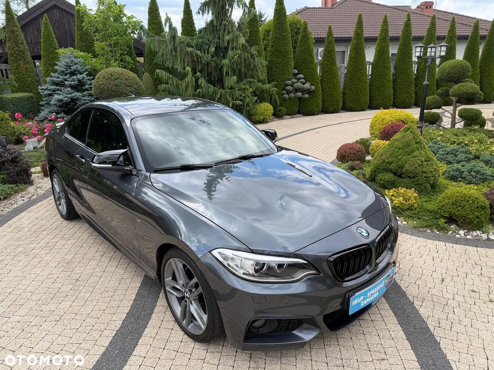 BMW Seria 2 225d Sport-Aut - 21