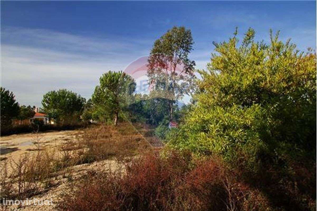 Terreno  para venda - Grande imagem: 5/5