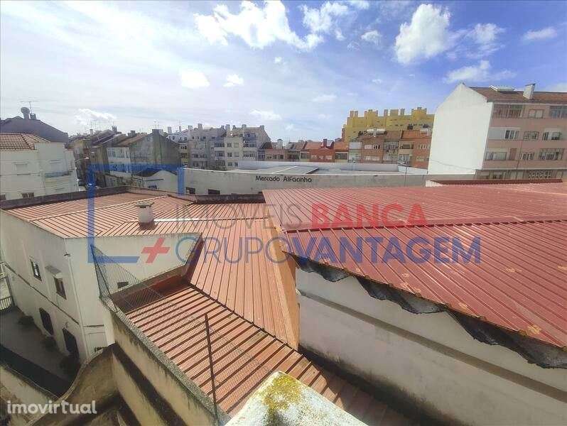 T1 Beato Olaias - Grande imagem: 5/20