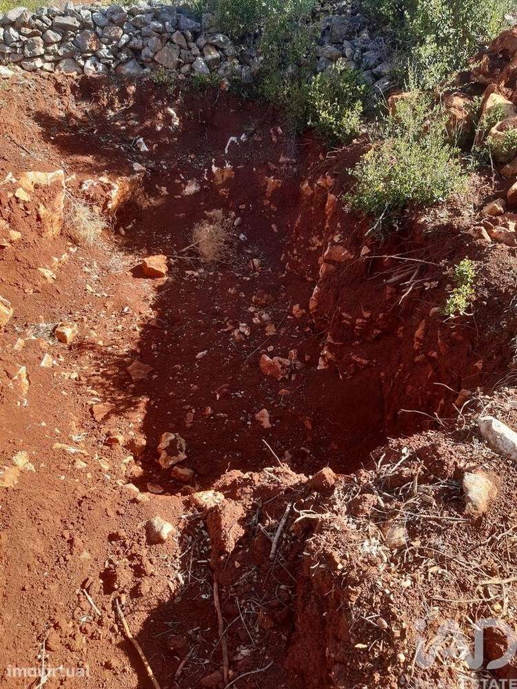 Terreno Agrícola em Alte - Grande imagem: 4/8