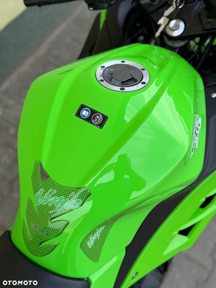Kawasaki Ninja 300 ABS - 18