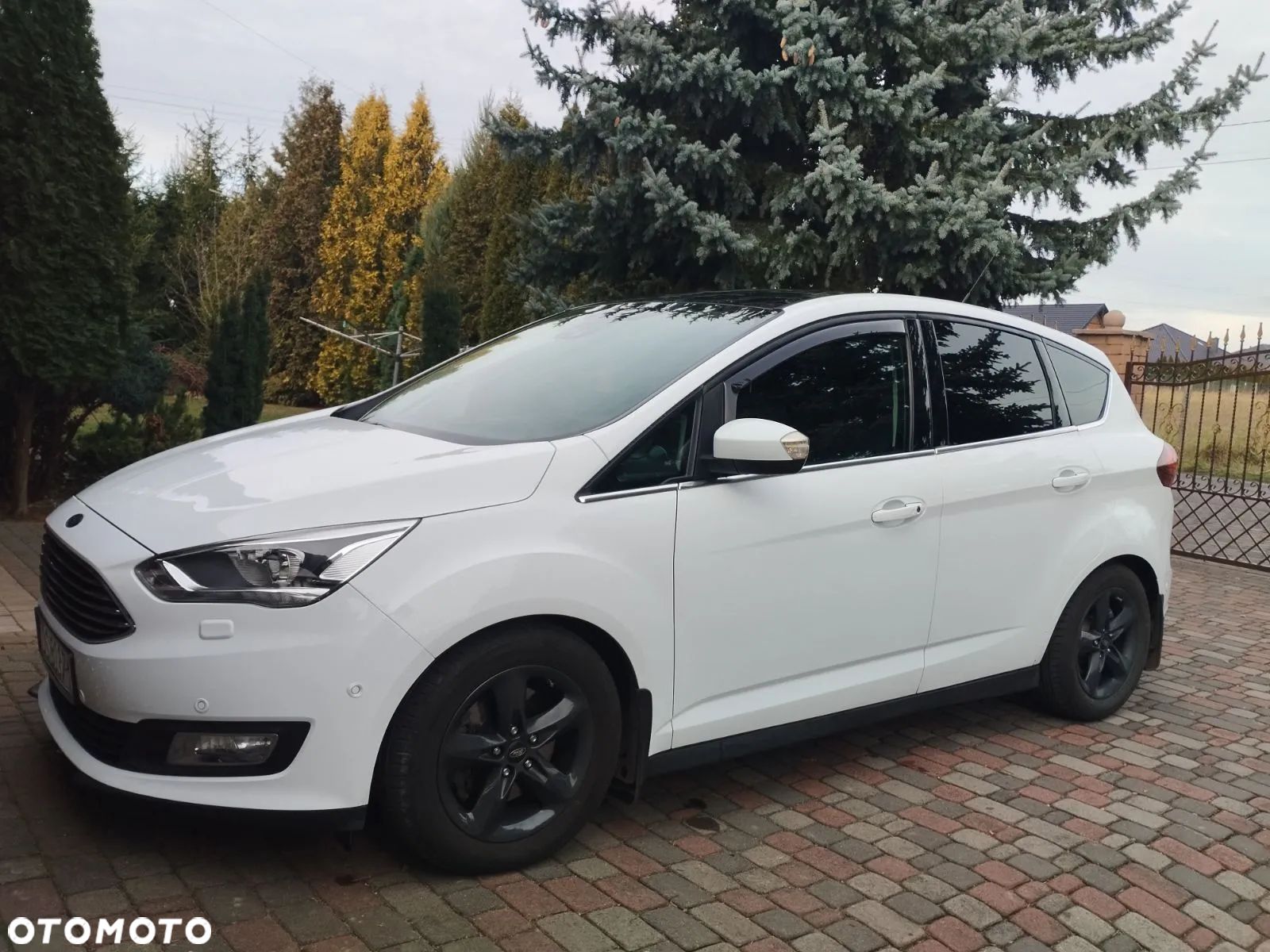 Ford C-MAX - 1