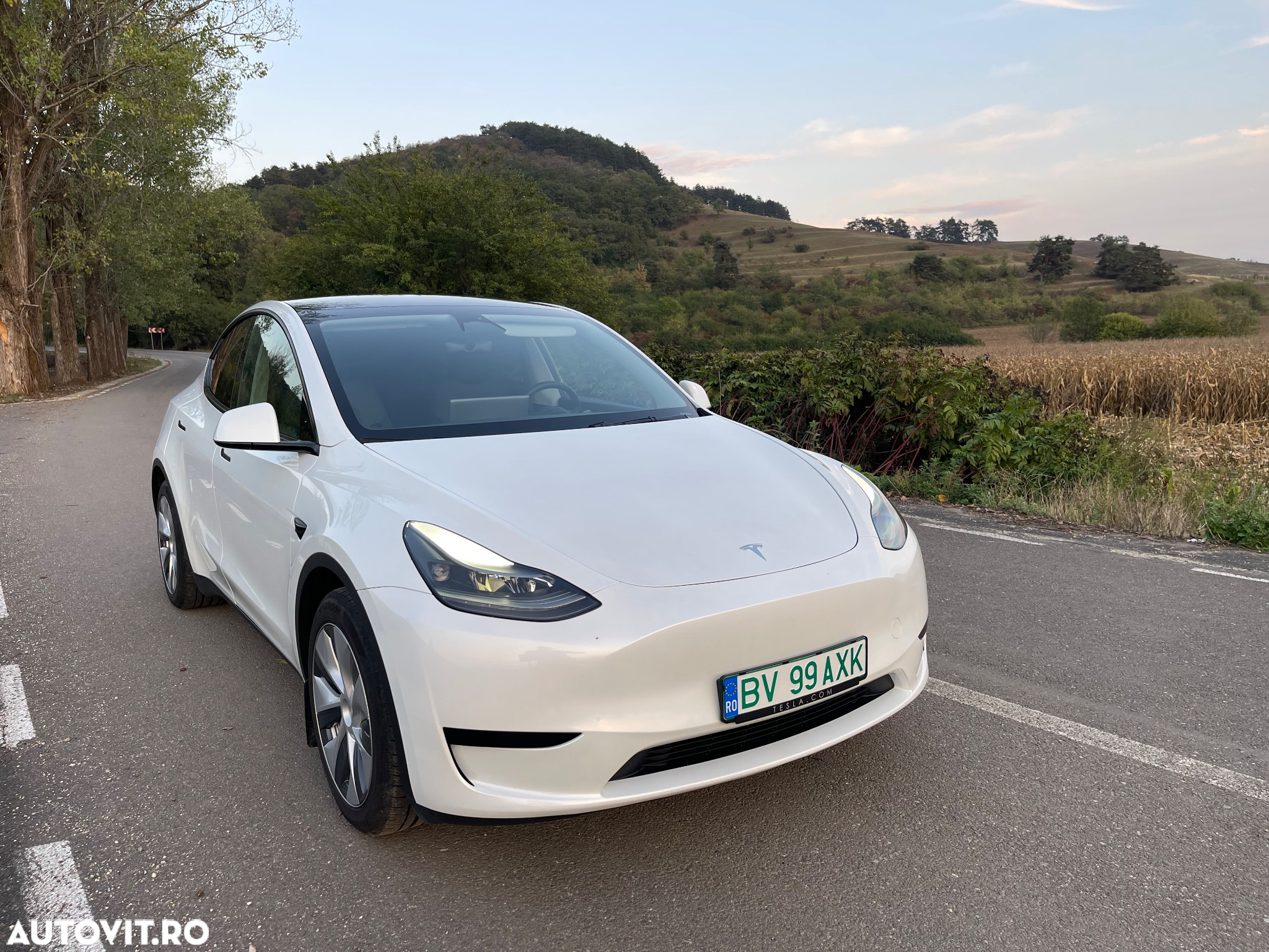 Tesla Model Y - 5