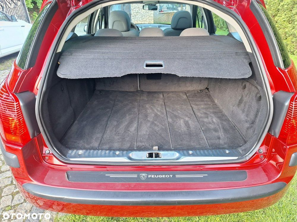 Peugeot 407 - 20