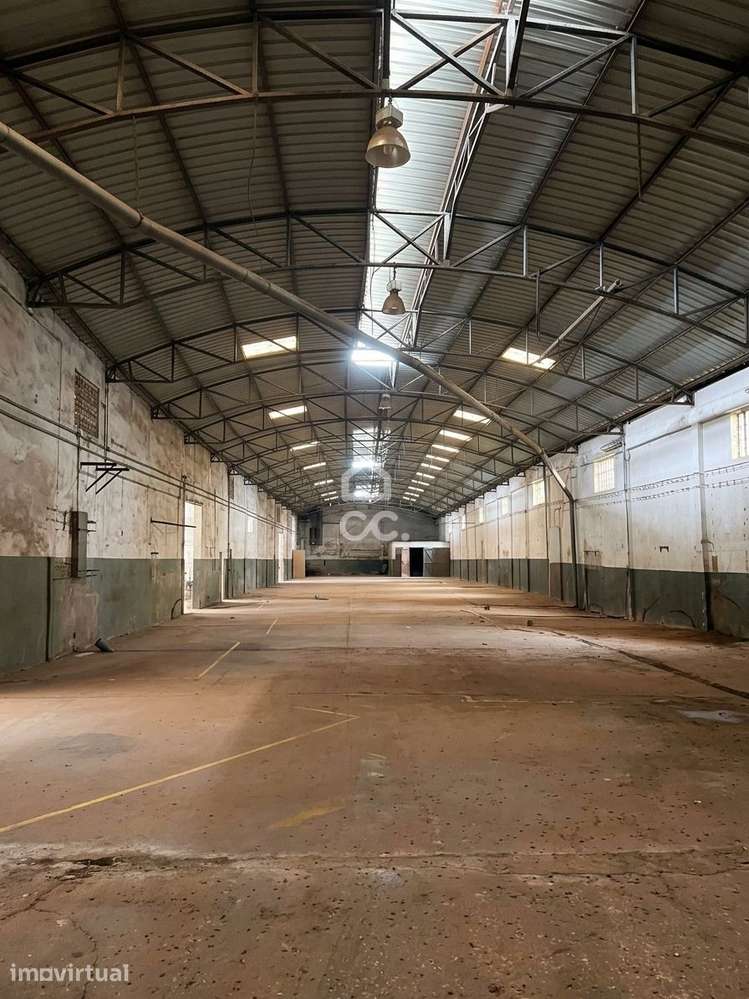 Armazém Industrial com 2 Naves e Logradouro – Amiais de Baixo, Santaré - Grande imagem: 5/22
