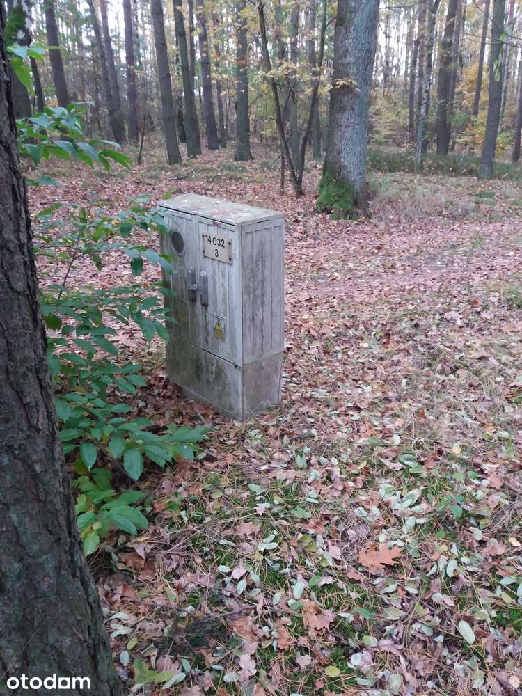 Duża działka w otoczeniu lasu i jeziora – Józefina - Pełny obrazek: 4/9