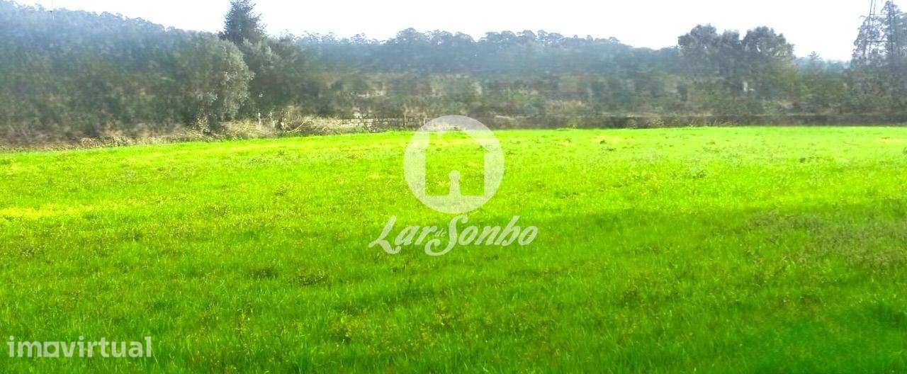 Excelente terreno em Esposende para Construção de Moradias - Grande imagem: 3/20