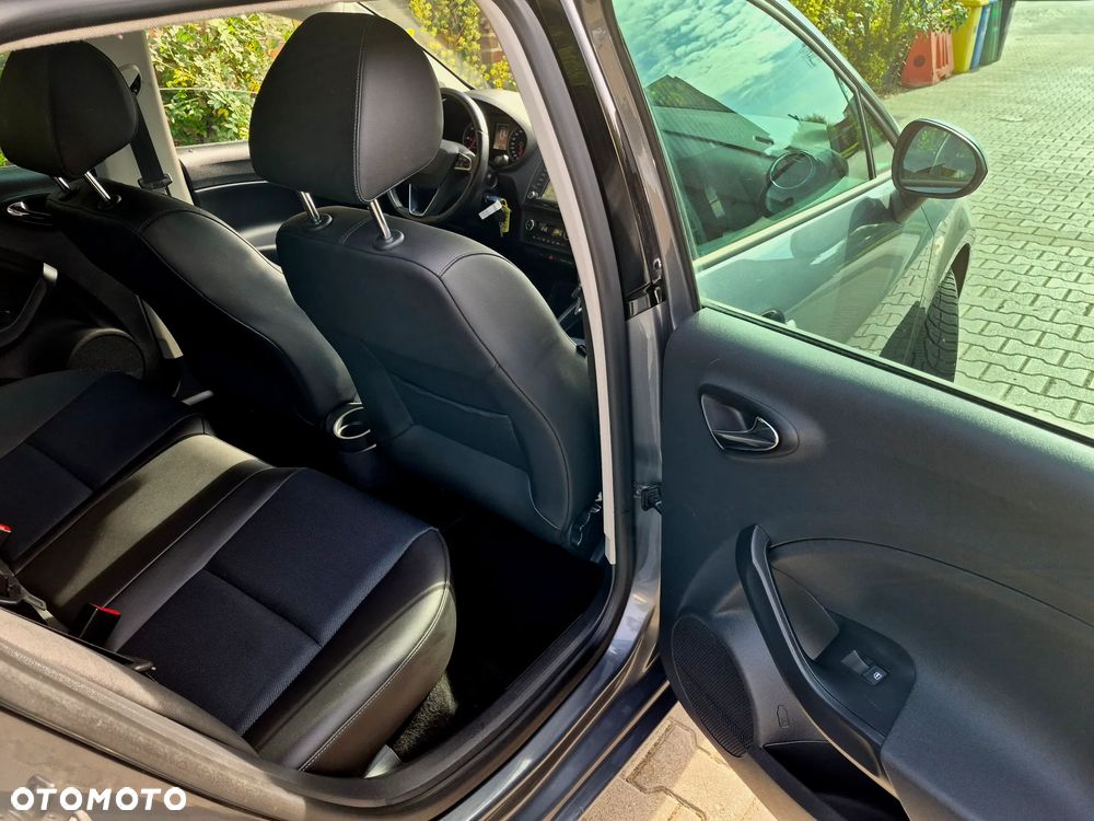 Seat Ibiza - 29