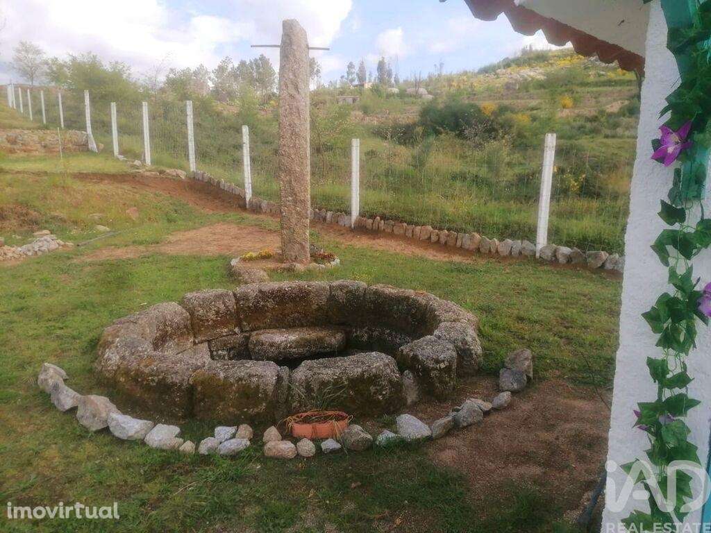 Terreno em Oliveira do Hospital e São Paio de Gramaços - Grande imagem: 5/11