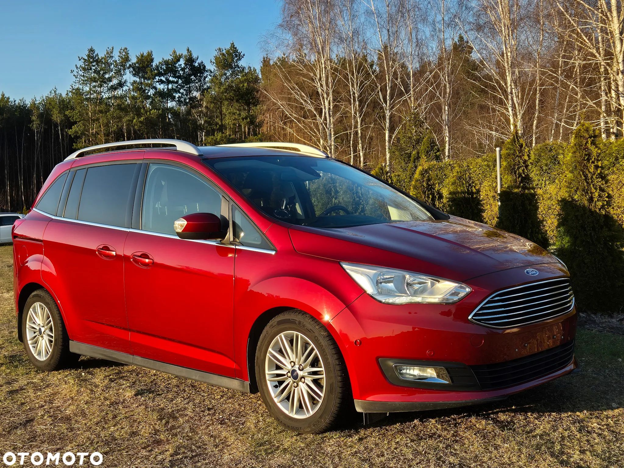 Ford Grand C-MAX 1.0 EcoBoost Start-Stopp-System Titanium - 1