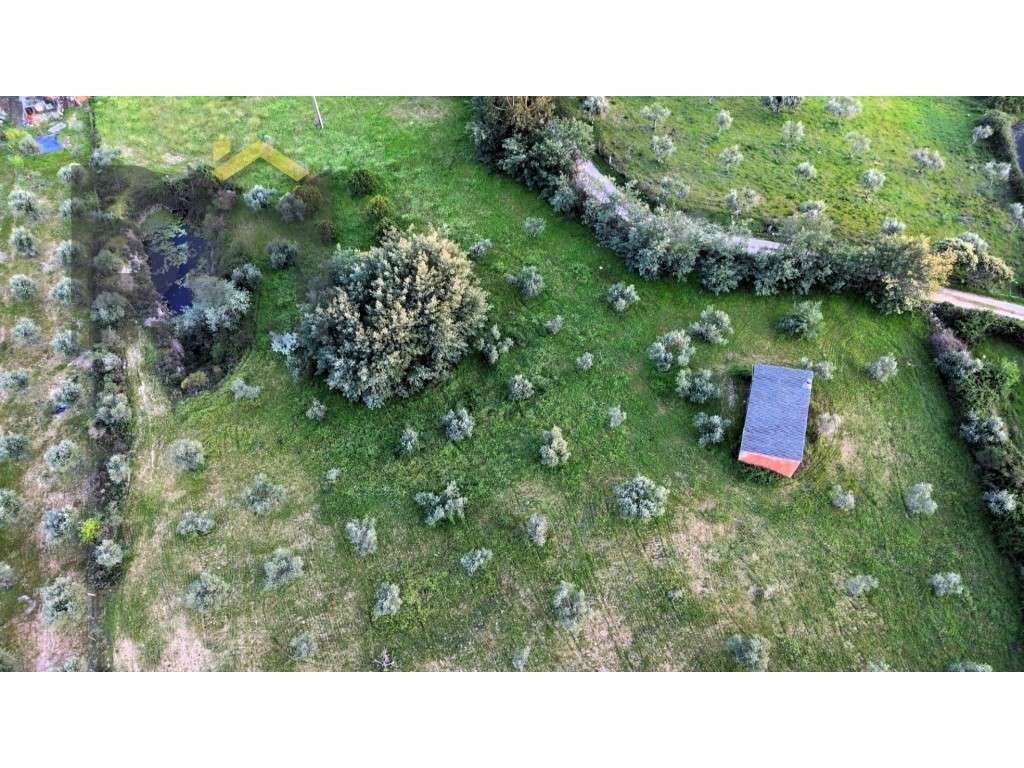 Quinta à venda em São Miguel de Acha! - Grande imagem: 3/17