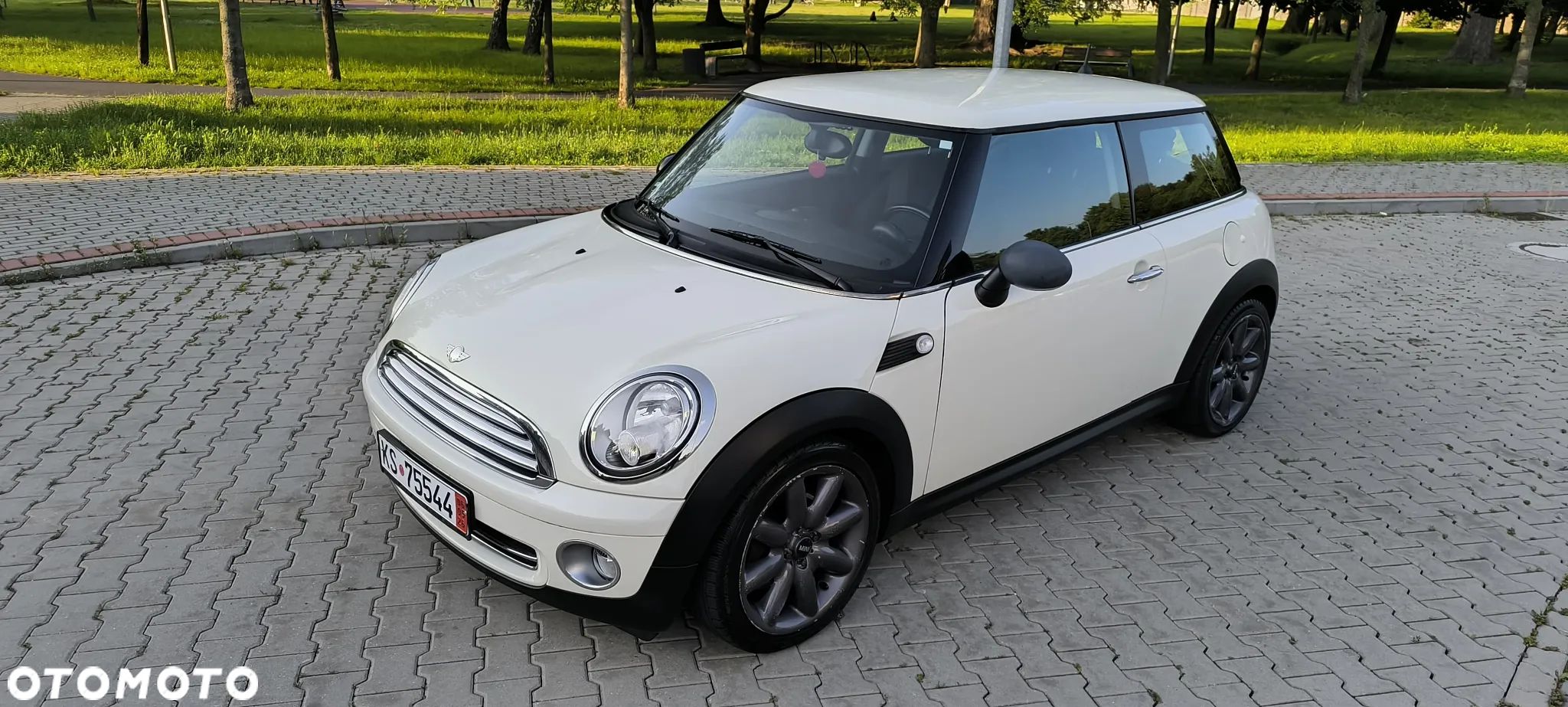 MINI ONE Standard - 1