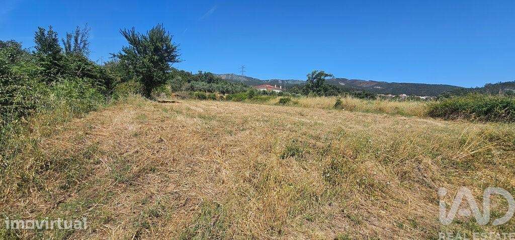 Terreno Agrícola em Cumeeira - Grande imagem: 5/14