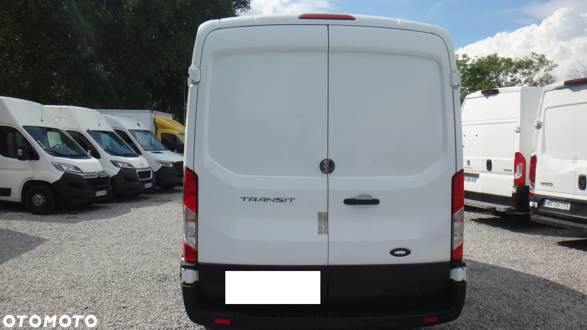 Ford TRANSIT - 4