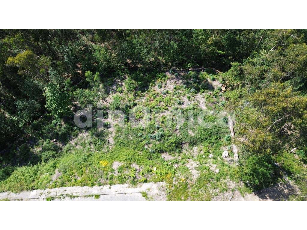 Lote para construção! - Grande imagem: 4/4