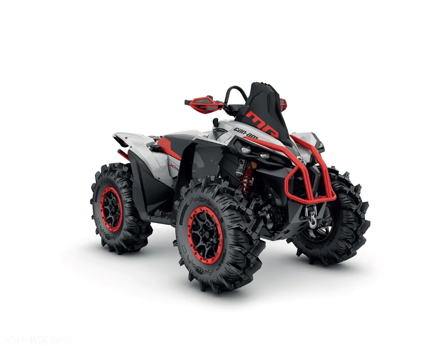 Can-Am Renegade - 1