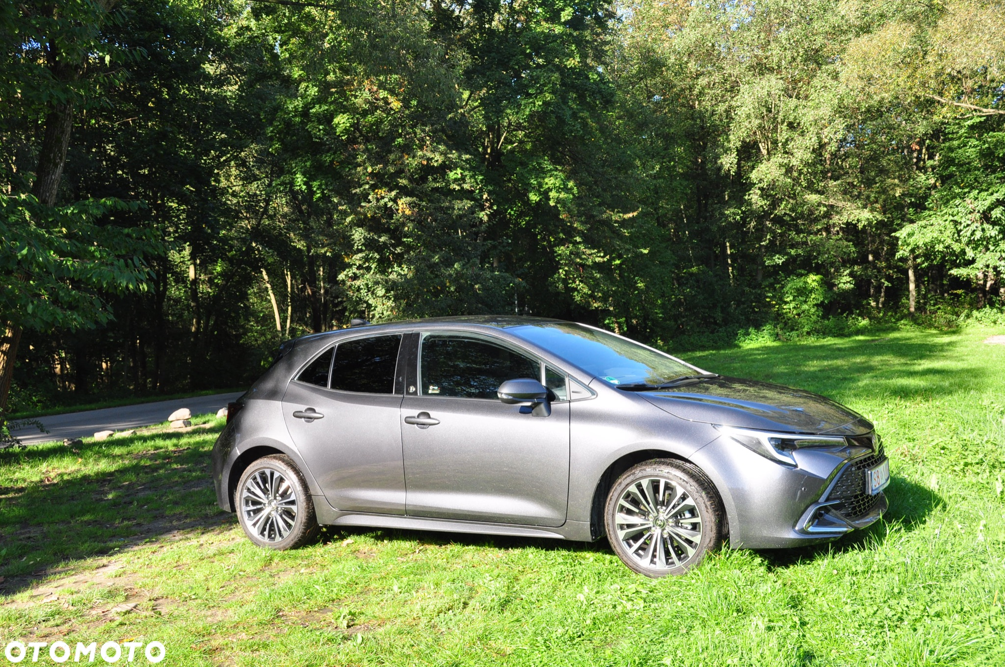 Toyota Corolla - 19