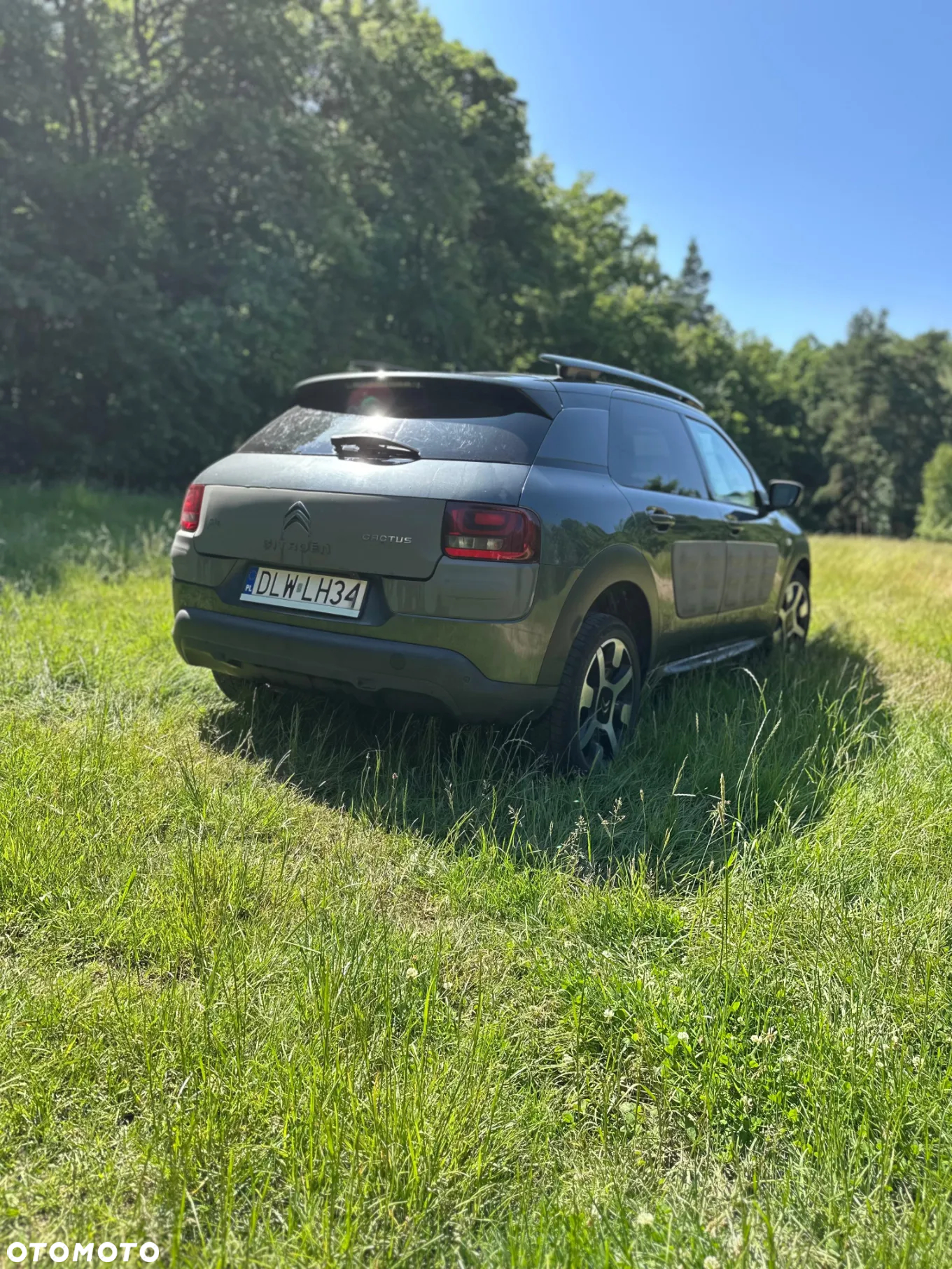 Citroën C4 Cactus 1.6 BlueHDi Feel - 7
