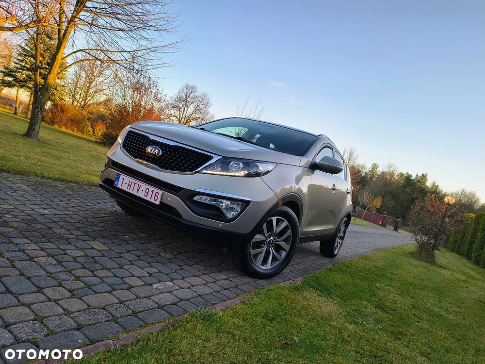 Kia Sportage - 1