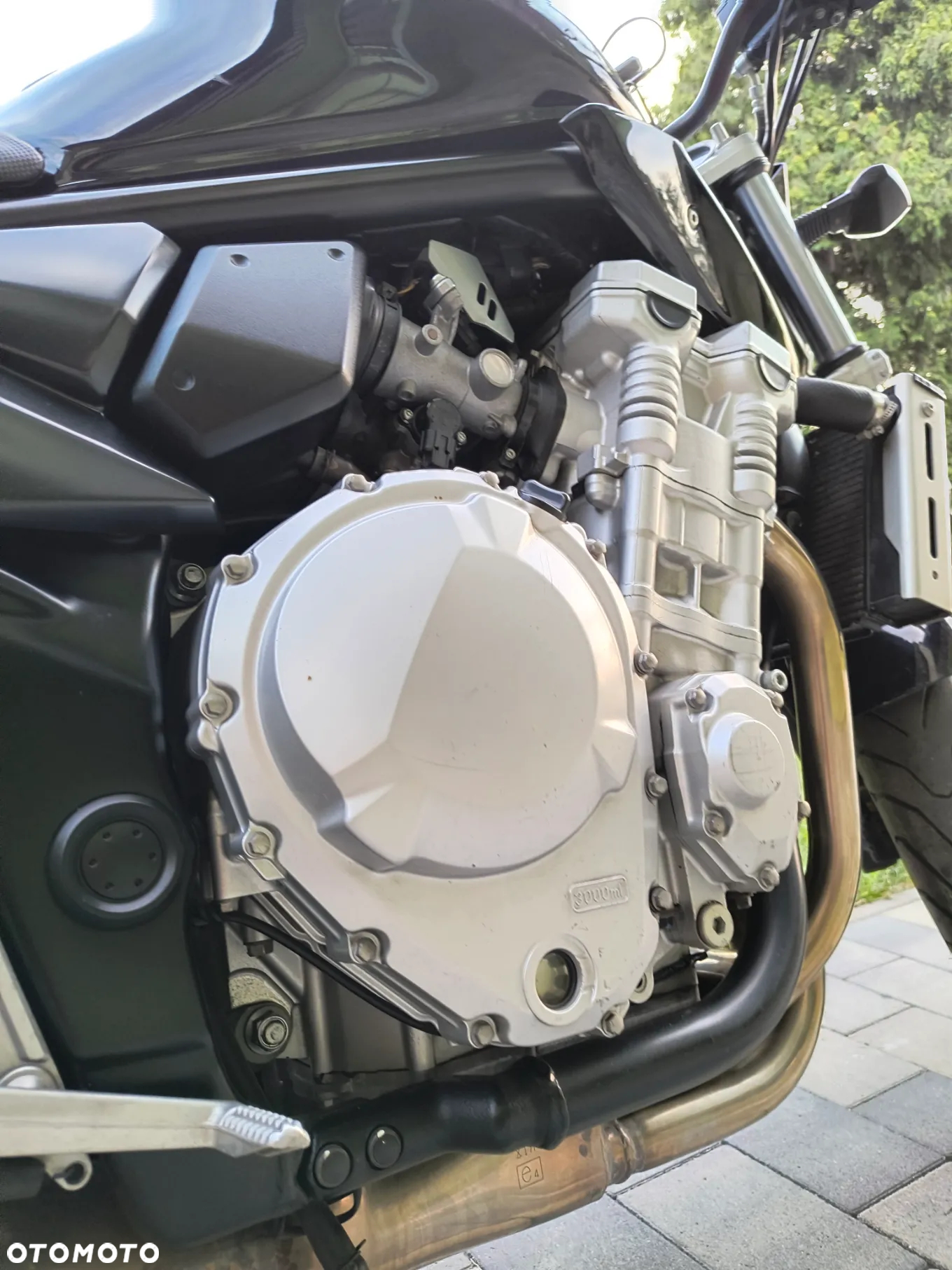 Suzuki Bandit - 31