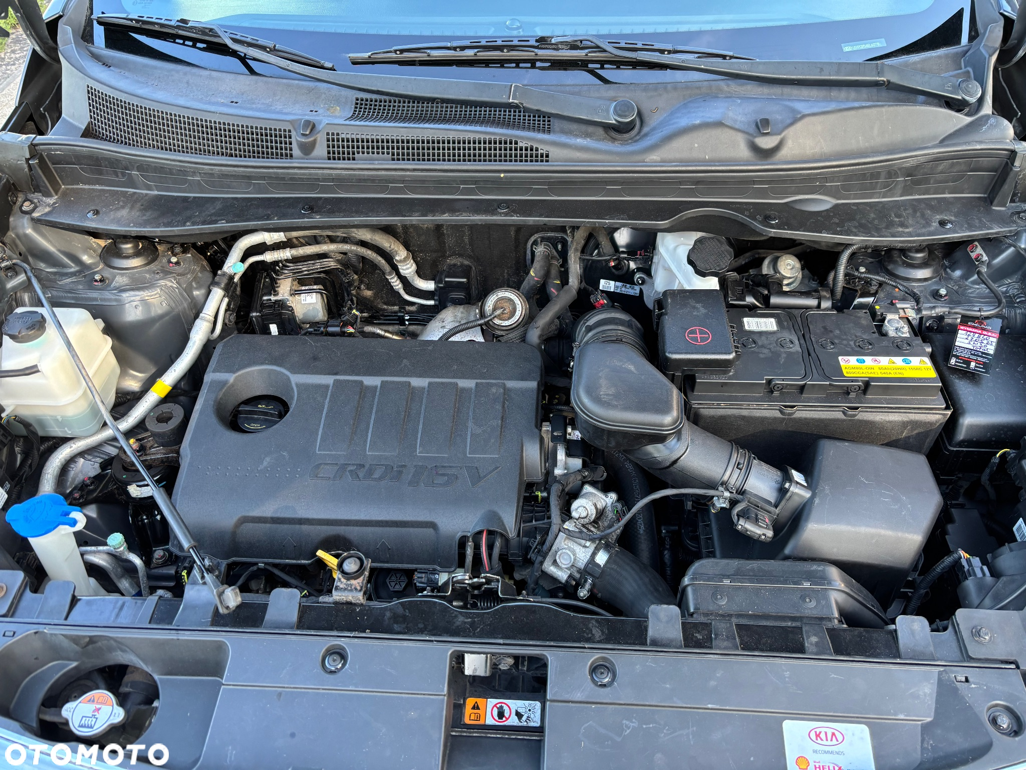 Kia Sportage 1.7 CRDI XL 2WD - 21