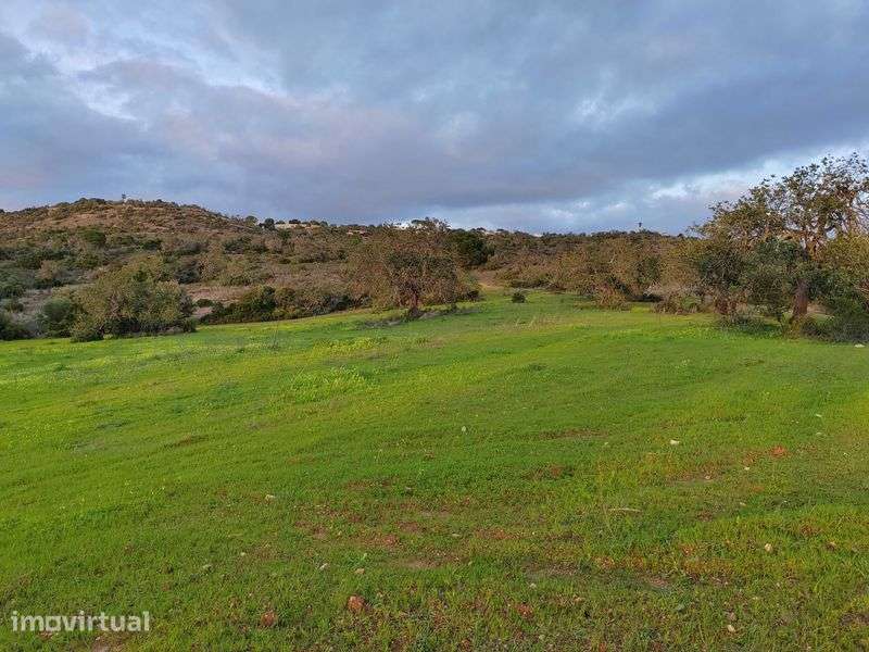 Arrendamento de Terreno - Grande imagem: 5/8