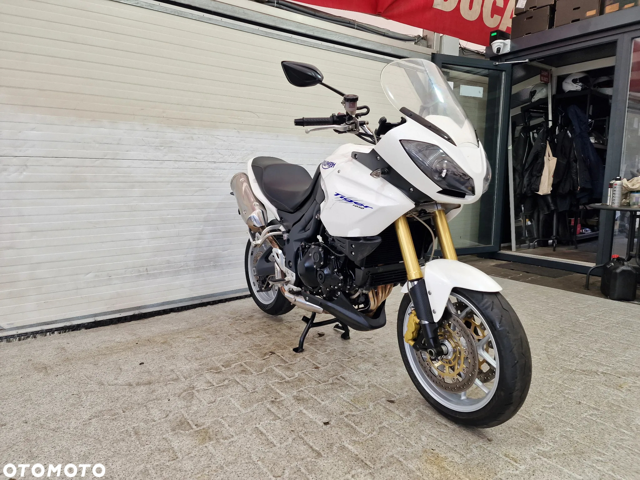 Triumph Tiger - 3