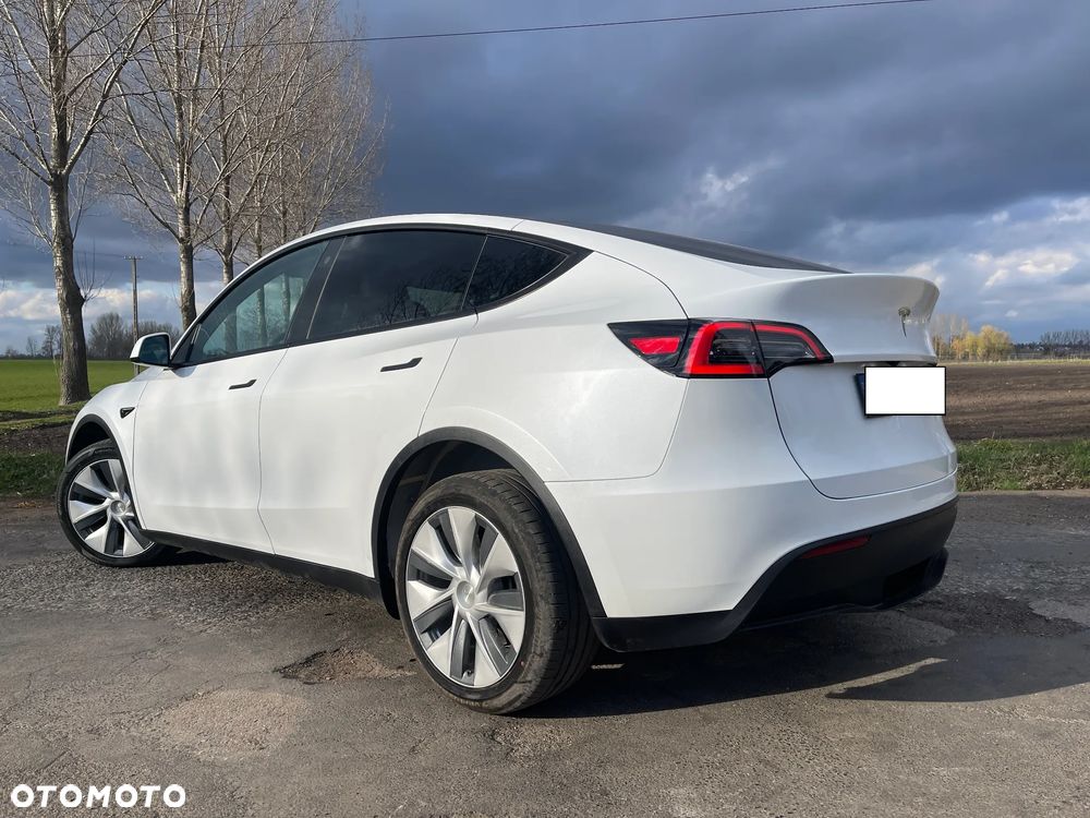 Tesla Model Y Standard - 1