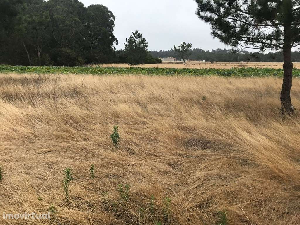 Terreno para moradia - Gafanha do Carmo - Grande imagem: 3/21