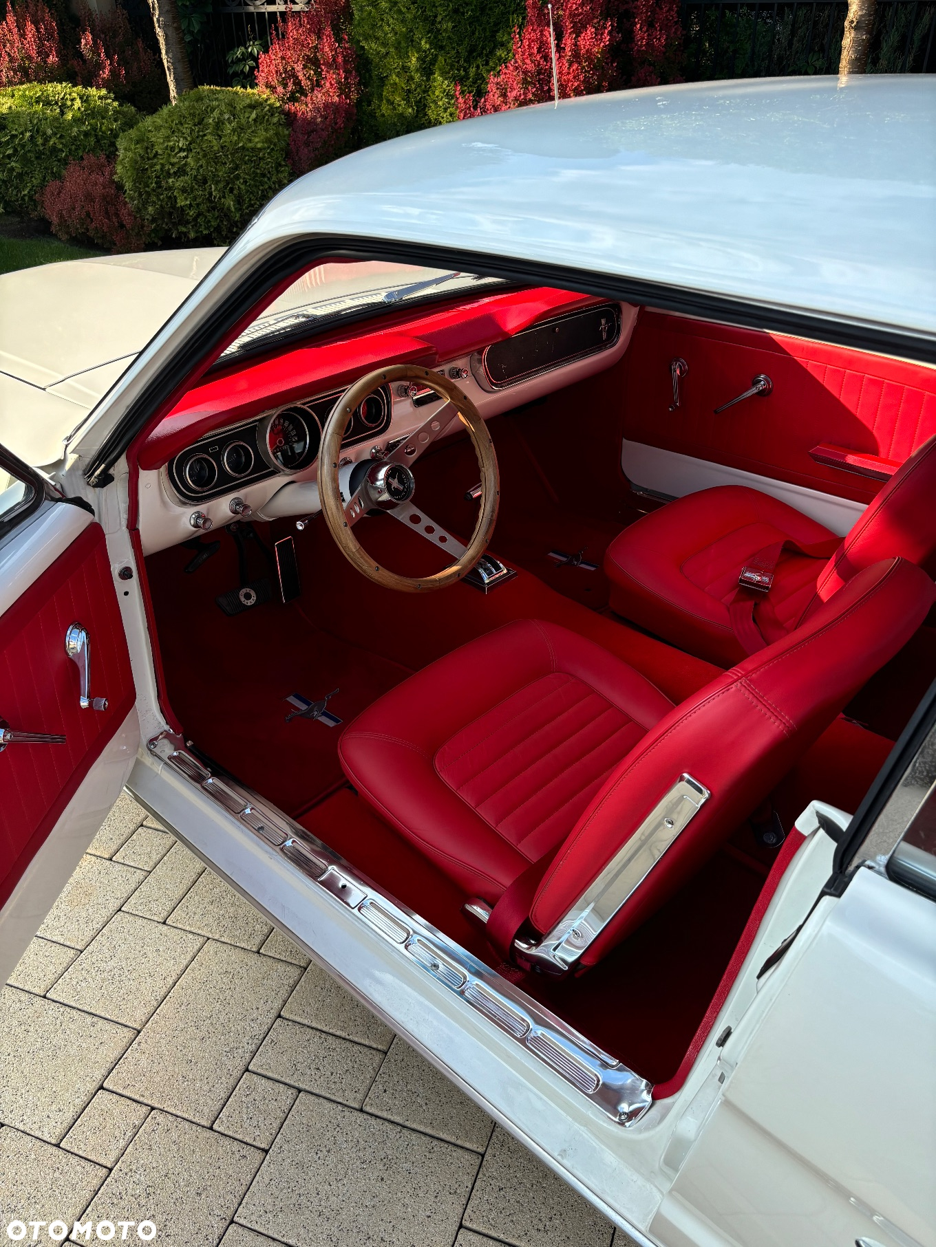 Ford Mustang - 29