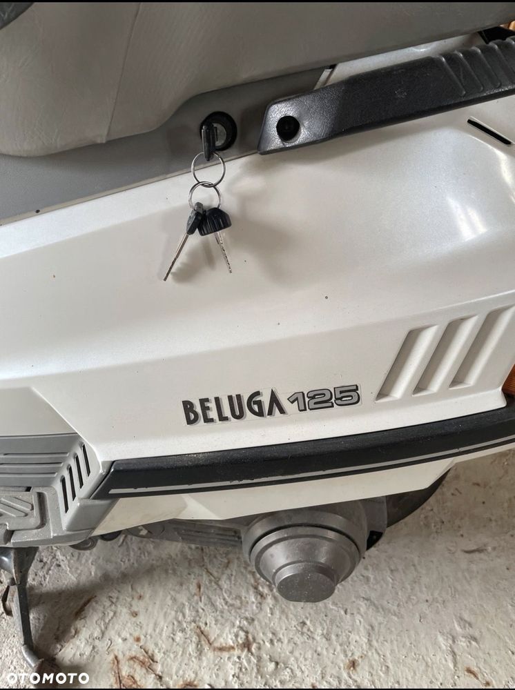 Yamaha Beluga - 6