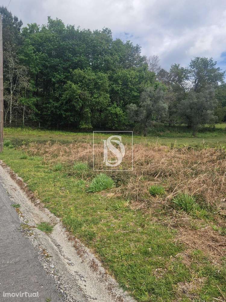 Terreno  Venda em Pinheiro,Vieira do Minho - Grande imagem: 3/13
