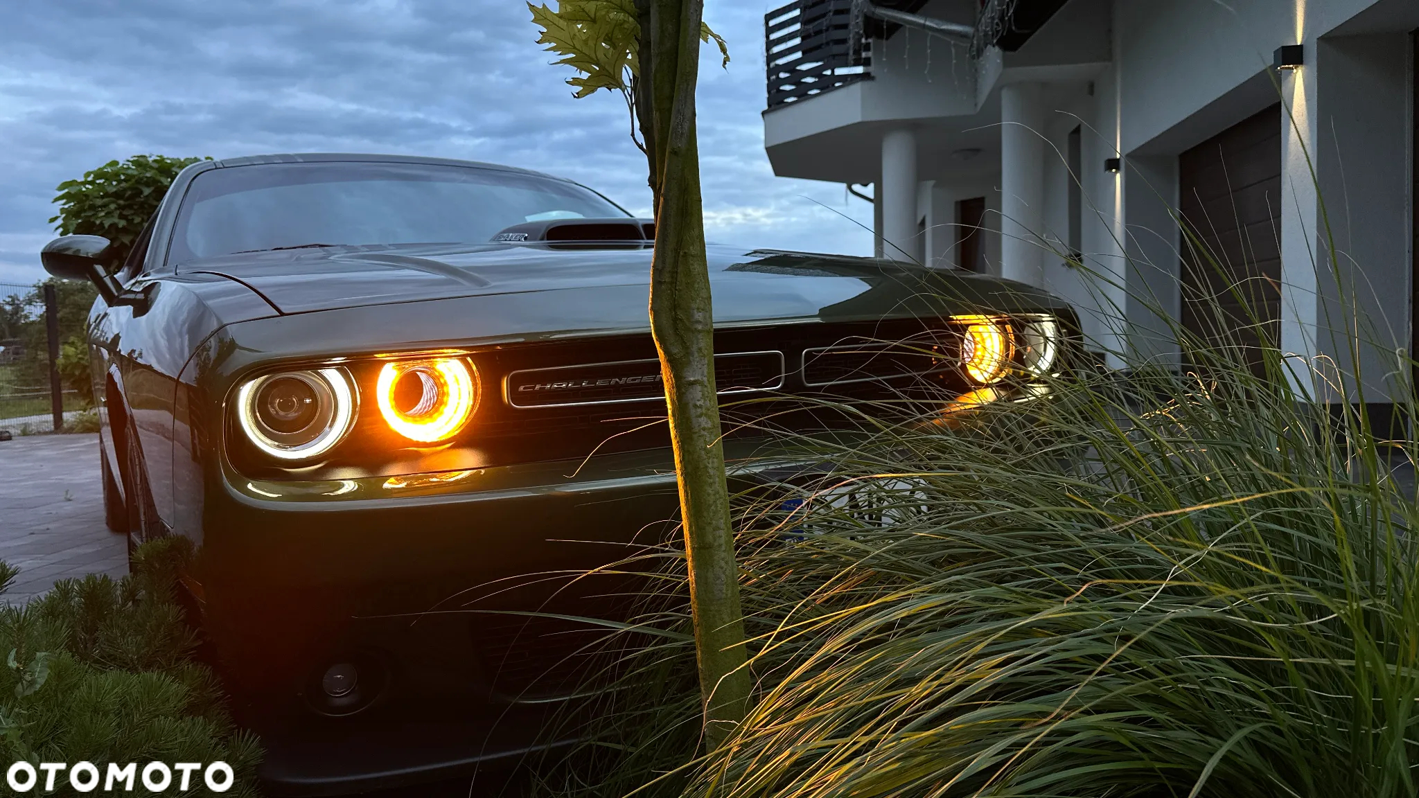 Dodge Challenger Automatik R/T Plus Shaker - 25