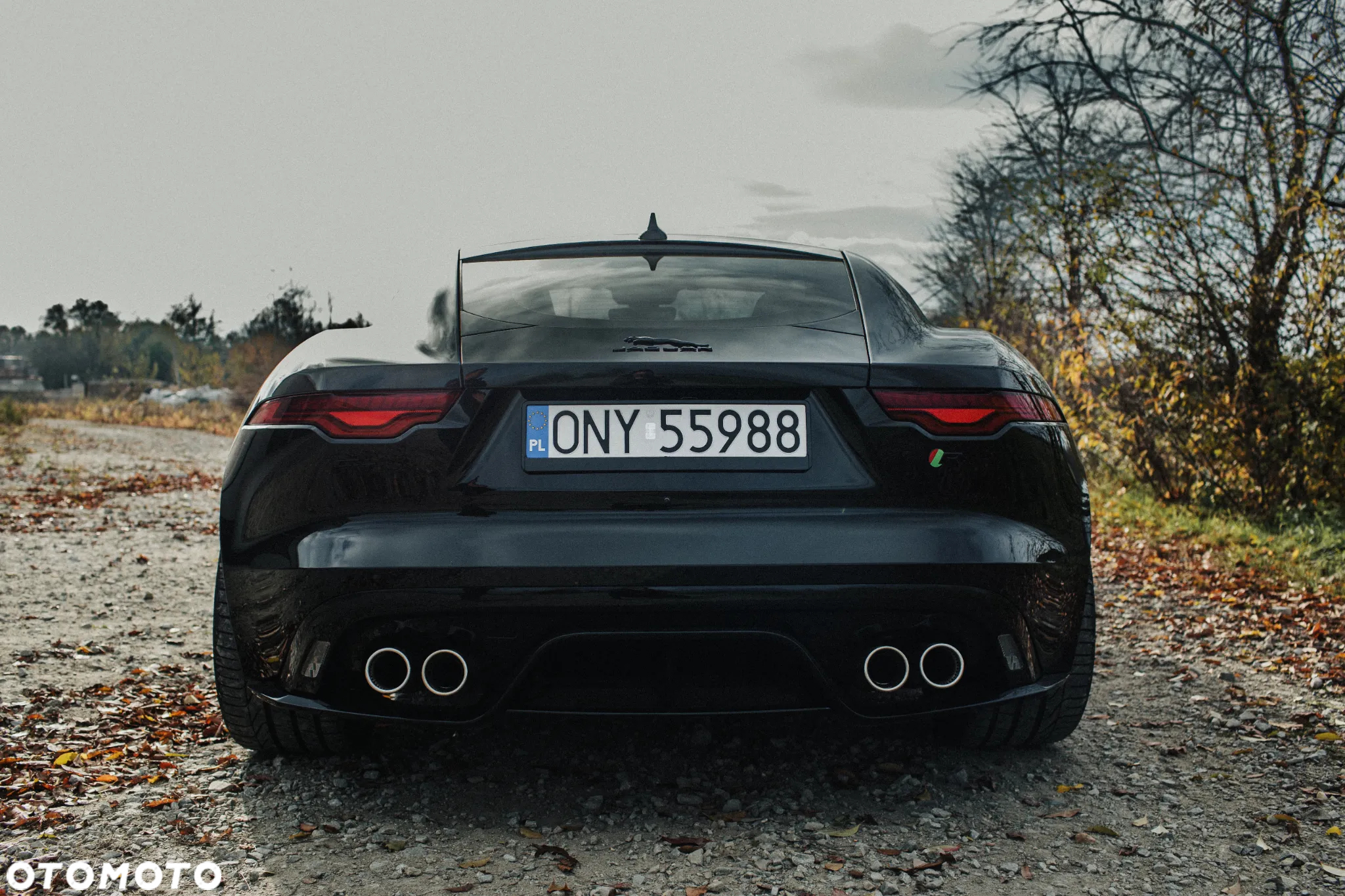 Jaguar F-Type 5.0 V8 S/C AWD R - 7