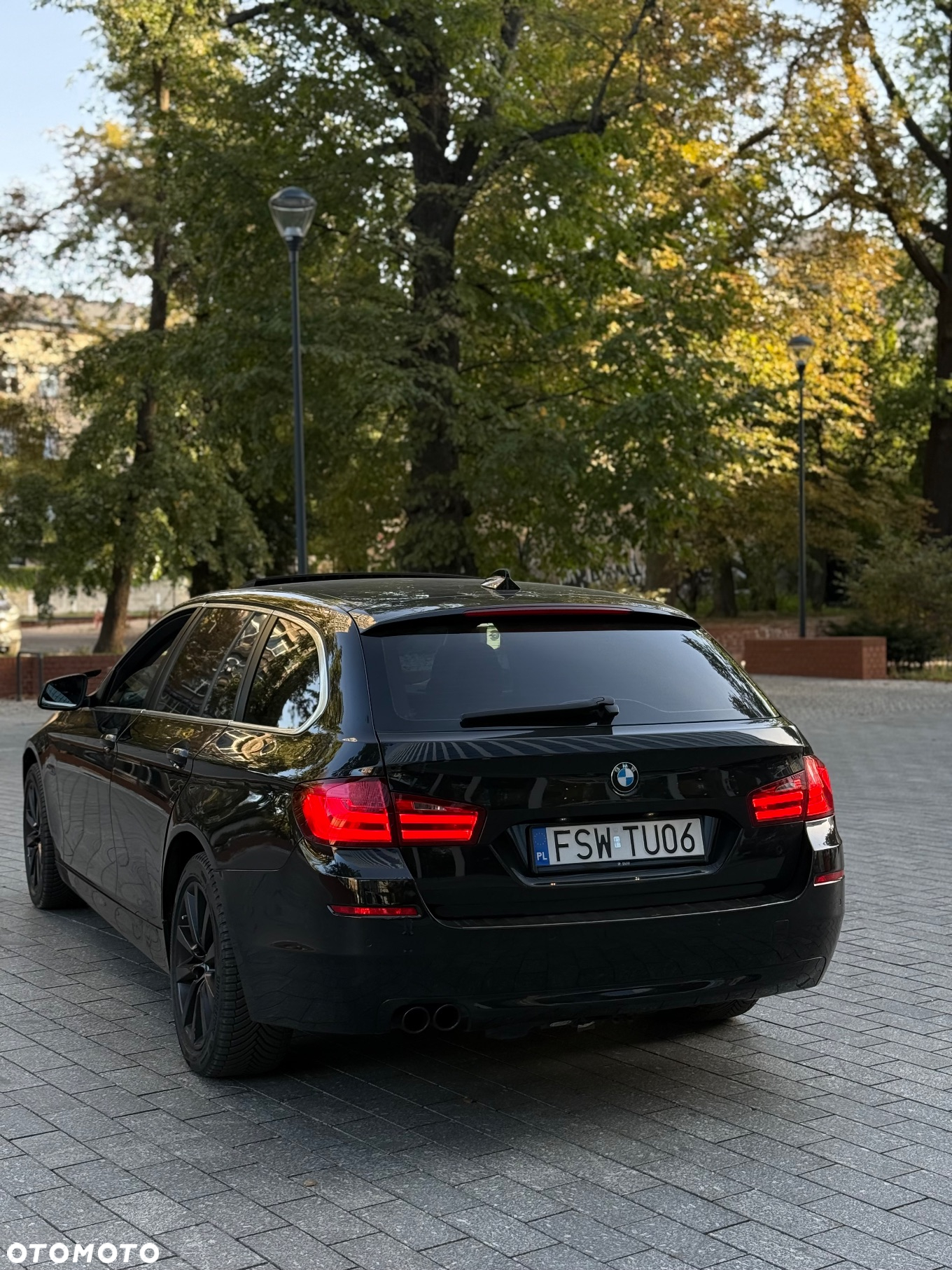 BMW Seria 5 520i Touring Luxury Line - 8