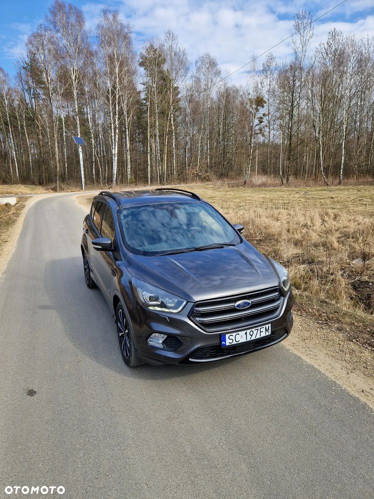 Ford Kuga 2.0 TDCi 4x4 ST-Line - 2