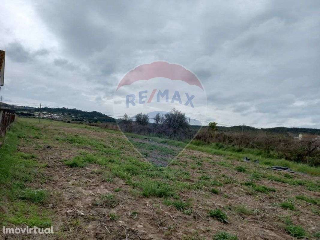 Terreno T0 para venda - Grande imagem: 3/4
