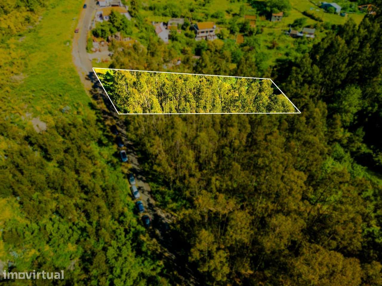 Terreno com 1660m2 e Duas frentes de estrada - Camacha - Grande imagem: 4/11