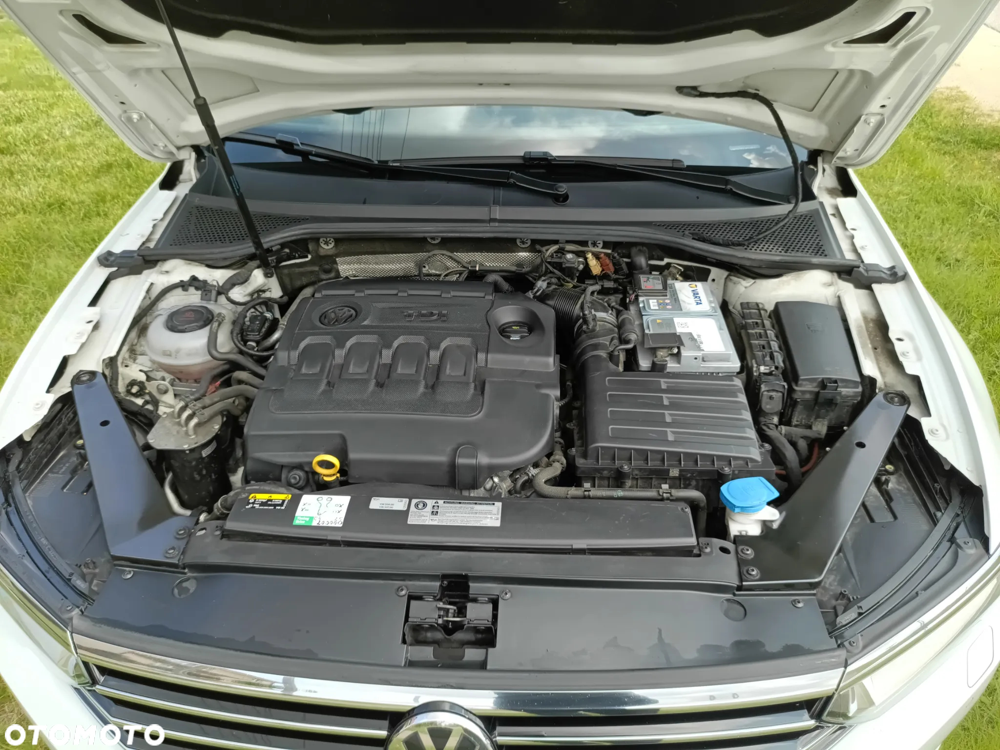 Volkswagen Passat - 23
