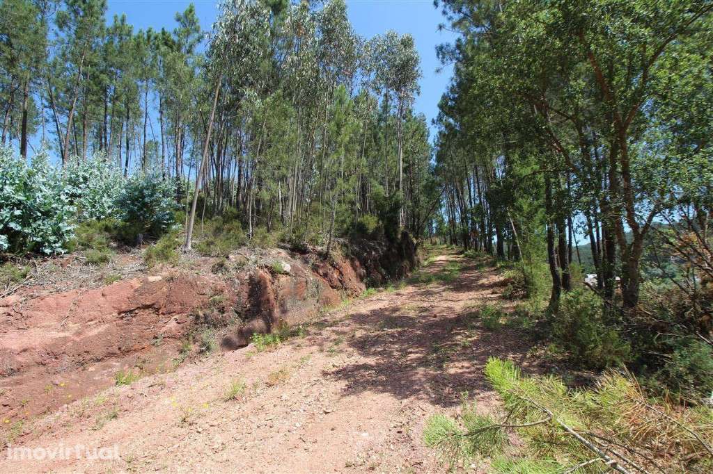 Terreno Construção Pingo Doce Eiras - Grande imagem: 4/11