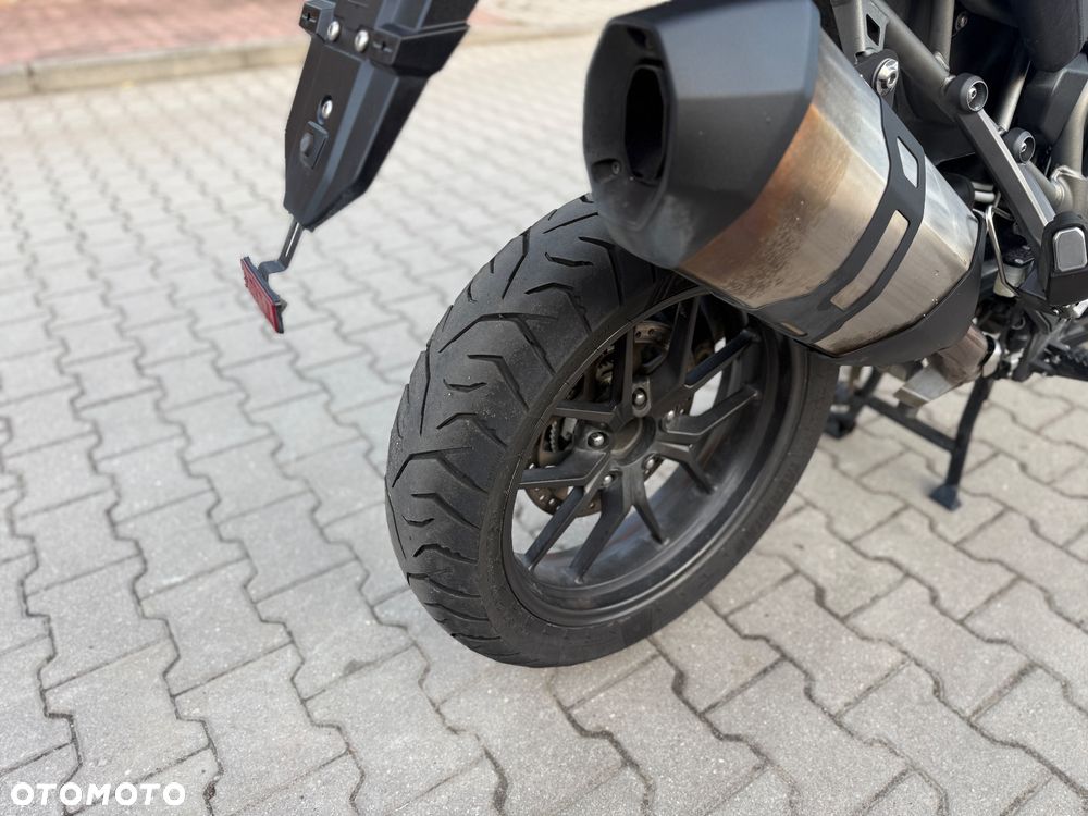 Triumph Tiger - 10