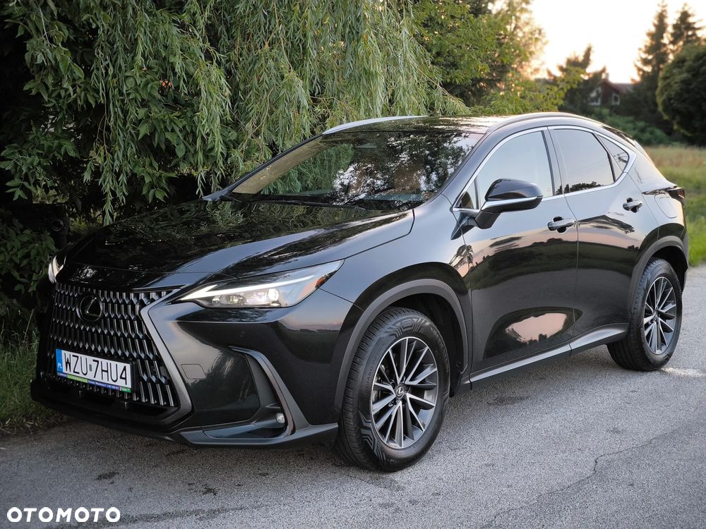 Lexus NX - 1