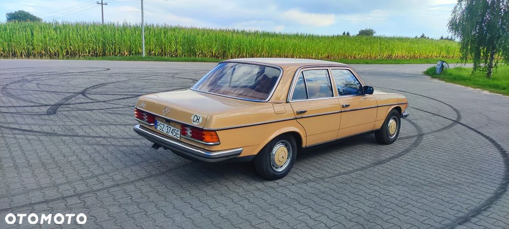 Mercedes-Benz W123 - 2